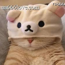 Ayu Utami avatar